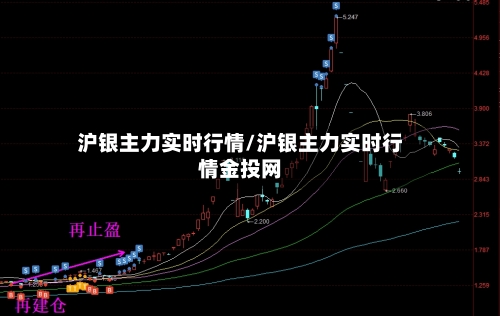 沪银主力实时行情/沪银主力实时行情金投网