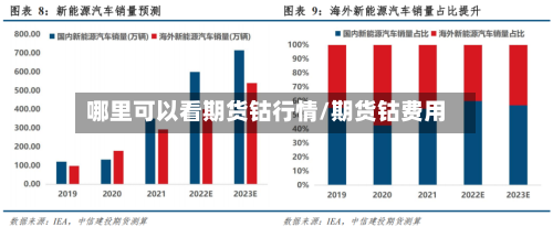 哪里可以看期货钴行情/期货钴费用
