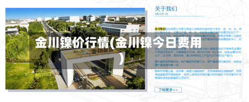 金川镍价行情(金川镍今日费用)