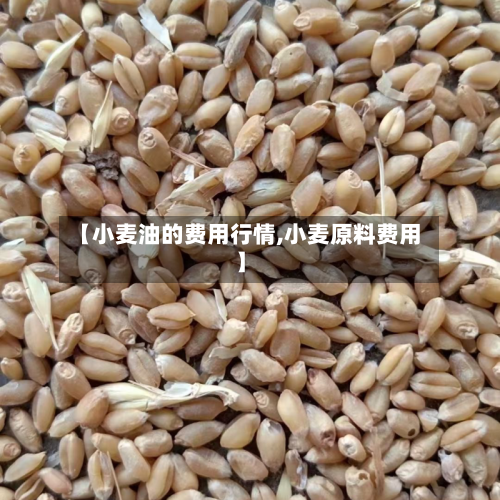 【小麦油的费用行情,小麦原料费用】-第3张图片