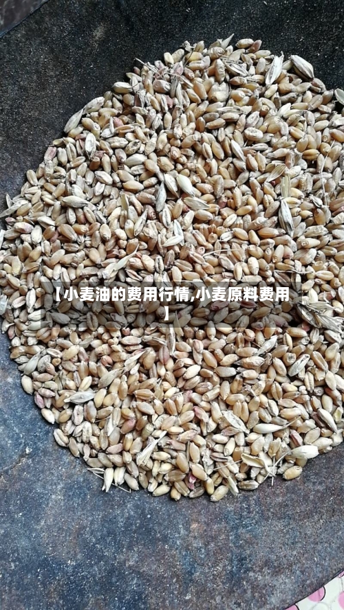 【小麦油的费用行情,小麦原料费用】