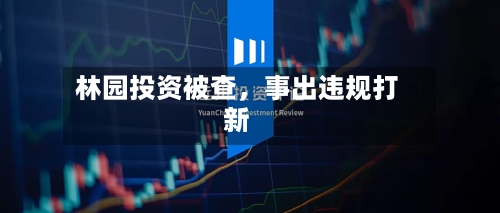 林园投资被查，事出违规打新-第2张图片