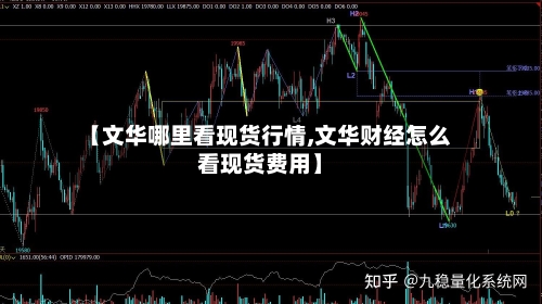【文华哪里看现货行情,文华财经怎么看现货费用】
