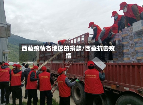 西藏疫情各地区的捐款/西藏抗击疫情