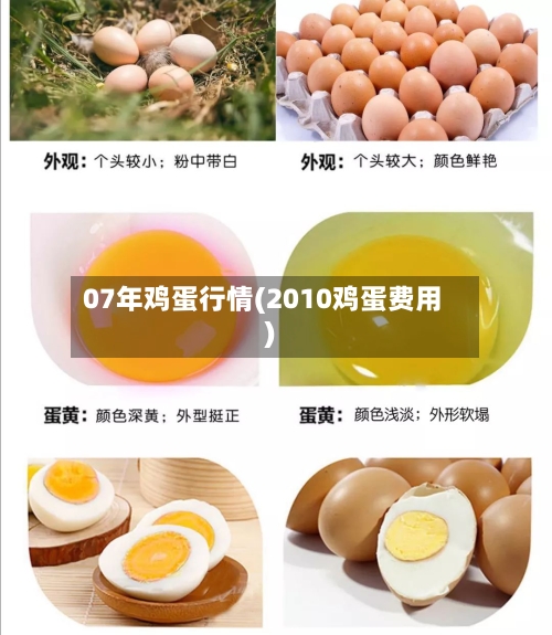 07年鸡蛋行情(2010鸡蛋费用)-第2张图片