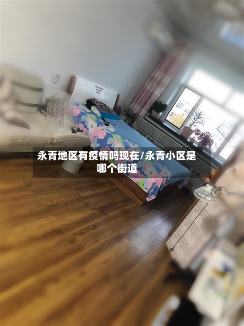 永青地区有疫情吗现在/永青小区是哪个街道-第2张图片