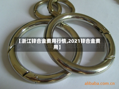 【浙江锌合金费用行情,2021锌合金费用】