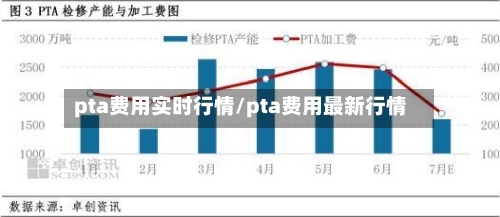 pta费用实时行情/pta费用最新行情