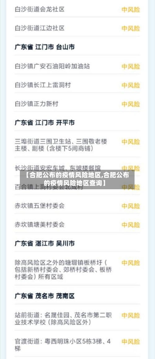 【合肥公布的疫情风险地区,合肥公布的疫情风险地区查询】
