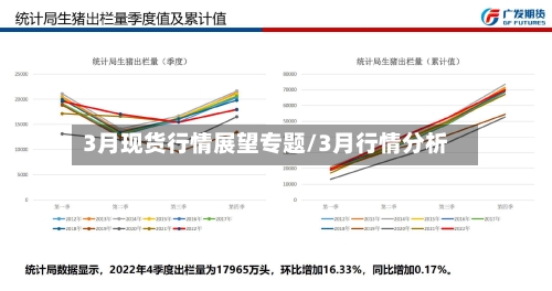 3月现货行情展望专题/3月行情分析