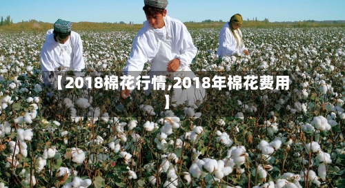 【2018棉花行情,2018年棉花费用】