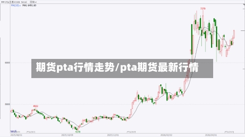 期货pta行情走势/pta期货最新行情