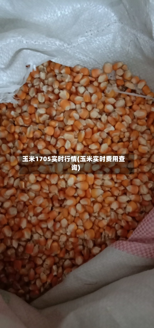玉米1705实时行情(玉米实时费用查询)