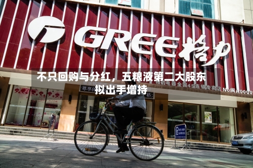 不只回购与分红，五粮液第二大股东拟出手增持-第3张图片
