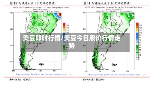 美豆即时行情/美豆今日股价行情走势-第3张图片