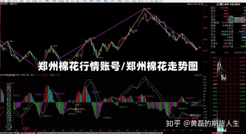 郑州棉花行情账号/郑州棉花走势图