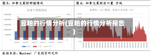 豆粕的行情分析(豆粕的行情分析报告)