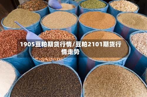 1905豆粕期货行情/豆粕2101期货行情走势