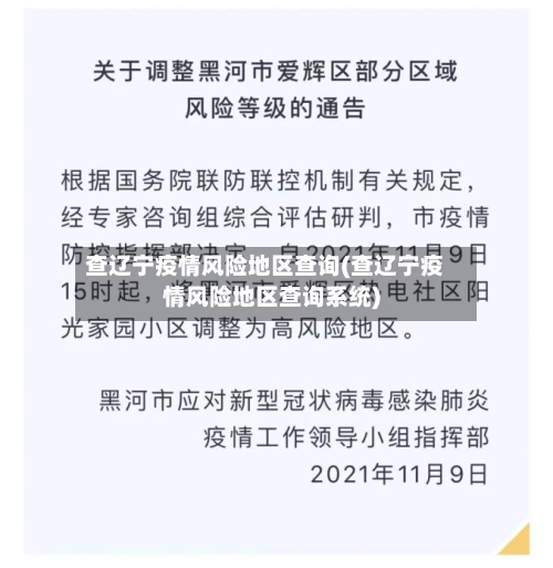 查辽宁疫情风险地区查询(查辽宁疫情风险地区查询系统)