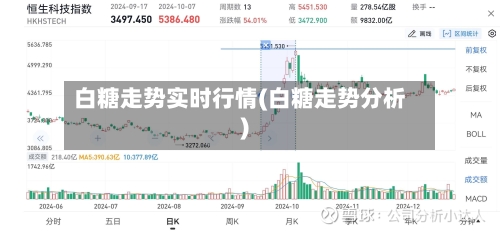 白糖走势实时行情(白糖走势分析)-第2张图片