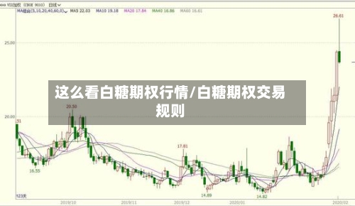 这么看白糖期权行情/白糖期权交易规则