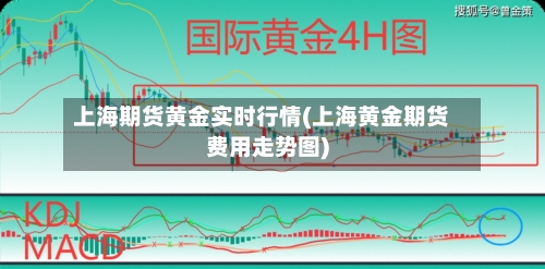 上海期货黄金实时行情(上海黄金期货费用走势图)