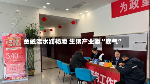 金融活水润杨凌 生猪产业添“底气”