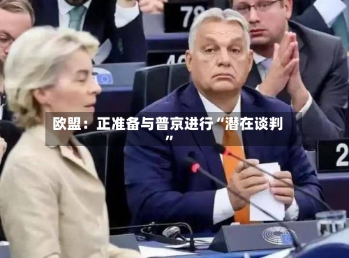 欧盟：正准备与普京进行“潜在谈判”