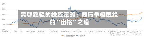 另辟蹊径的投资策略：同行争相取经的“出格”之道