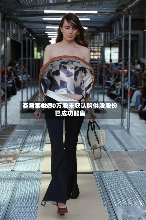 圣马丁世界：合共6690万股未获认购供股股份已成功配售