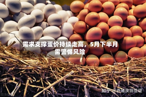 需求支撑蛋价持续走高	，5月下半月需警惕风险-第3张图片