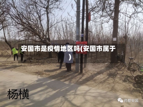 安国市是疫情地区吗(安国市属于)
