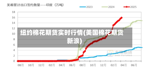 纽约棉花期货实时行情(美国棉花期货 新浪)
