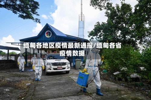 缅甸各地区疫情最新通报/缅甸各省疫情数据