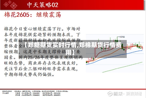 【郑糖期货实时行情,郑棉期货行情费用】-第2张图片