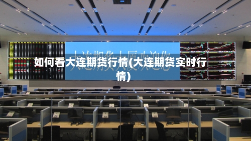 如何看大连期货行情(大连期货实时行情)