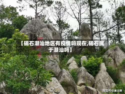 【碣石潮汕地区有疫情吗现在,碣石属于潮汕吗】