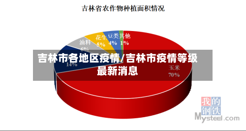 吉林市各地区疫情/吉林市疫情等级最新消息-第3张图片