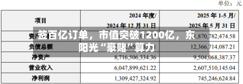 签百亿订单，市值突破1200亿，东阳光“豪赌”算力