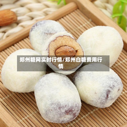 郑州糖网实时行情/郑州白糖费用行情