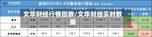 文华财经行情回放/文华财经实时数据