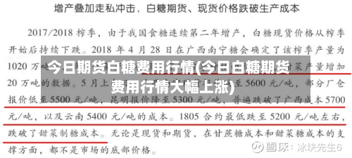 今日期货白糖费用行情(今日白糖期货费用行情大幅上涨)