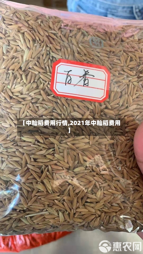 【中籼稻费用行情,2021年中籼稻费用】-第2张图片
