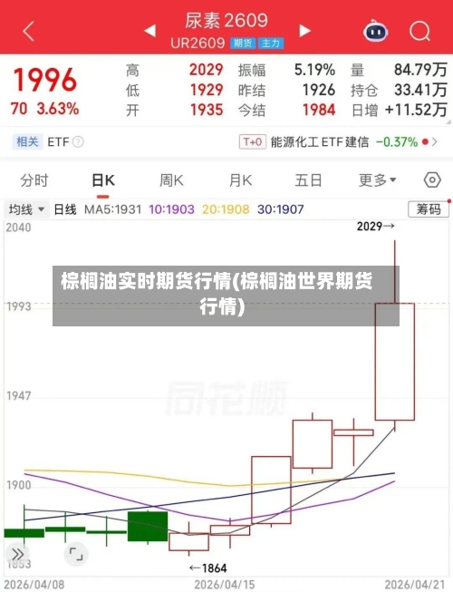 棕榈油实时期货行情(棕榈油世界期货行情)