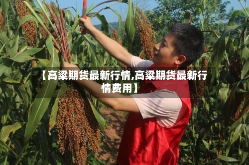 【高粱期货最新行情,高粱期货最新行情费用】-第2张图片