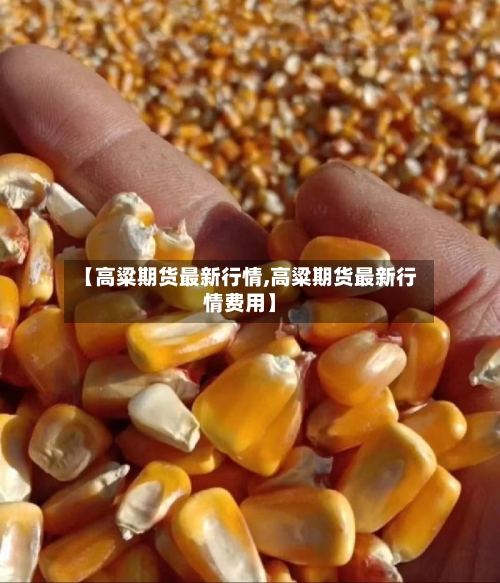 【高粱期货最新行情,高粱期货最新行情费用】