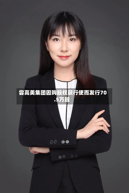 尝高美集团因购股权获行使而发行70.5万股-第2张图片