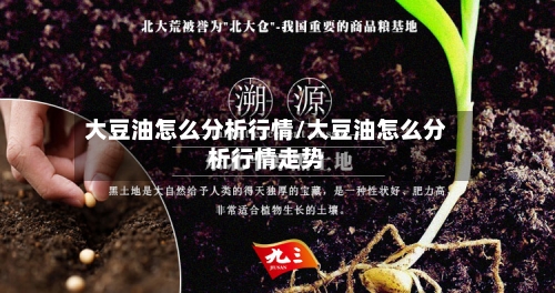 大豆油怎么分析行情/大豆油怎么分析行情走势-第2张图片