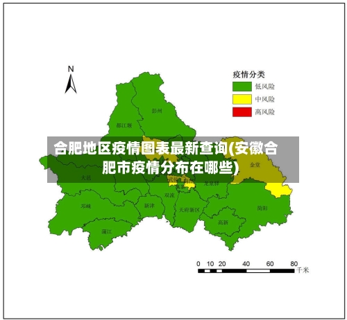 合肥地区疫情图表最新查询(安徽合肥市疫情分布在哪些)-第3张图片