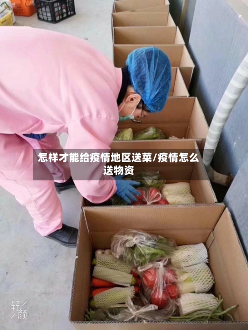 怎样才能给疫情地区送菜/疫情怎么送物资